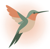 Colibri Spirit